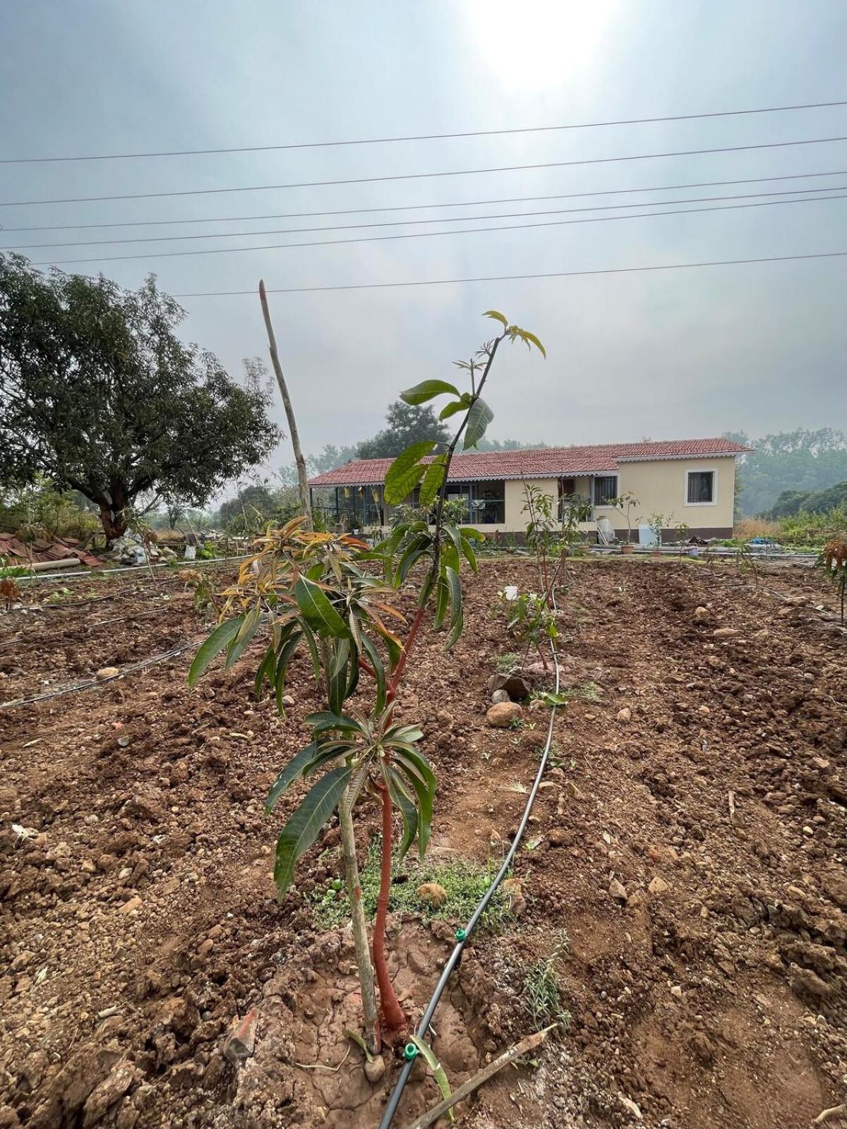 فيلا Aj Farms Welhe المظهر الخارجي الصورة
